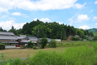 上山氏城 遠景（南西より）