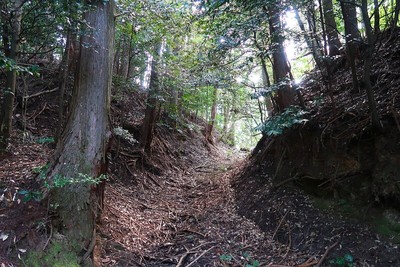 吉田氏城 城域南の堀切