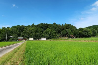 吉田氏城 遠景（南西より）