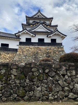 西の丸側からの本丸天守