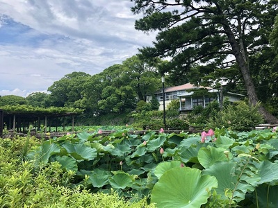 御茶壷橋と南曲輪