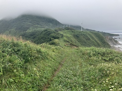 主郭より堀切の土橋を望む