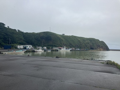 石崎築港より城址を望む