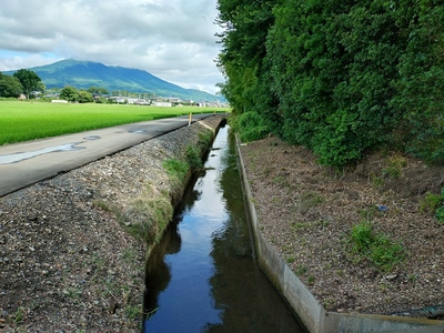 城址を囲む水堀跡