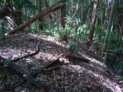 東端の竹薮に遺る土塁