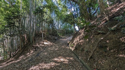 利根川からの虎口か