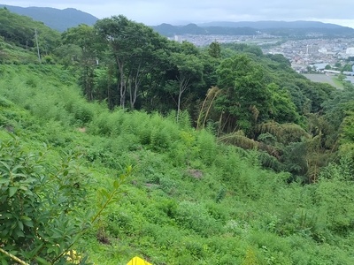 登城道脇の深い谷