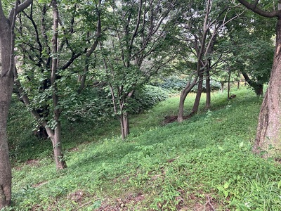 砂館神社裏にある堀