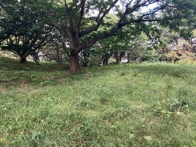 砂館神社東側の郭