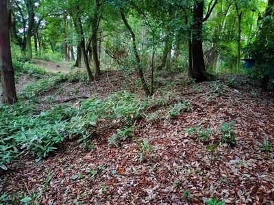 大宝八幡宮北側の土塁