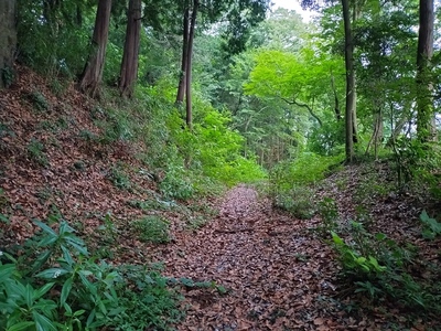 大宝八幡宮北側の空堀