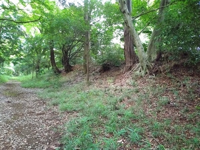 城内から見た南側の土塁