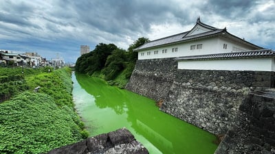 二の丸東大手門