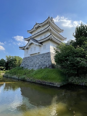 難攻不落　忍の浮き城