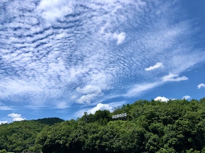 小谷城看板