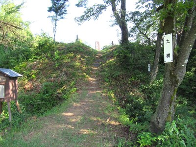 主郭・空堀と土橋