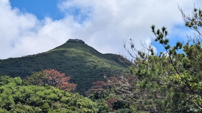 東からの遠景