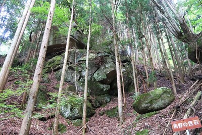 夏焼城 馬野ルート「馬野の巨石」