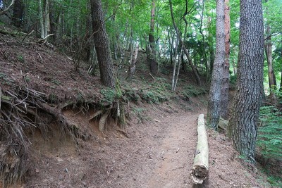 夏焼城 馬野ルート