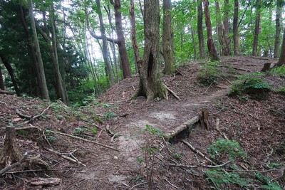 夏焼城 曲輪Ⅱの西の二重堀切