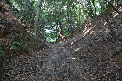 堀切（西谷駐車場に通じる）