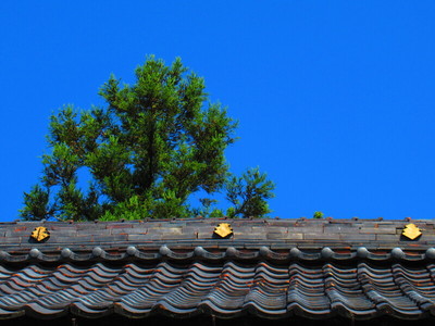 開善寺山門の三階菱（小笠原家家紋）