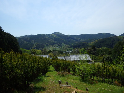井平城からの眺望