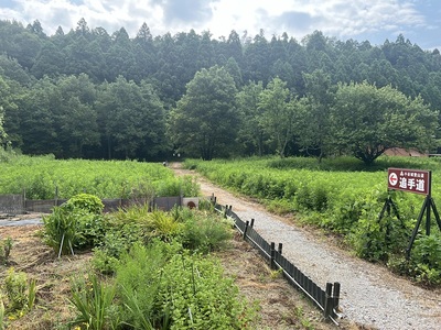 小谷城戦国歴史資料館からの登城口