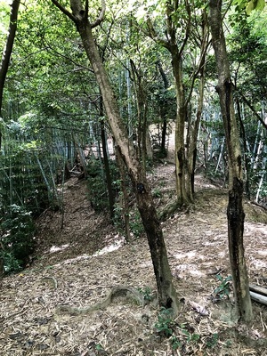 北からの登城道