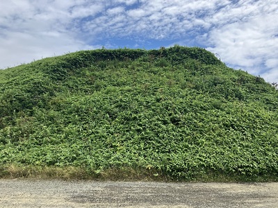 根室半島チャシ跡群のヒリカヲタチャシの切岸