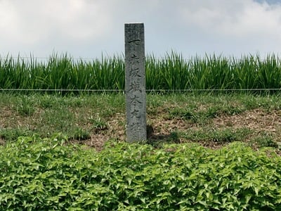 本丸跡の石碑