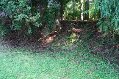 武節古城 主郭北の土塁を堀切跡より