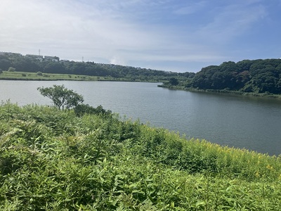 主チャシから春採湖を望む(手前に内堀)