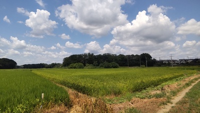 遠景（南から撮影）