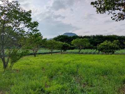 法城院裏側の主郭跡