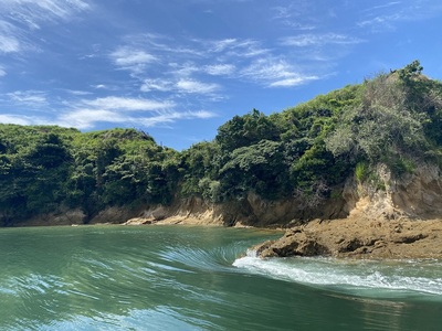 能島東部海岸