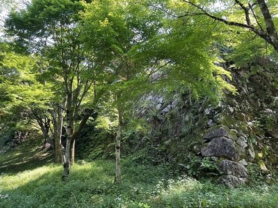 松の丸東側石垣