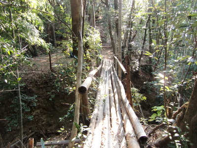 堀切に架けれている竹橋