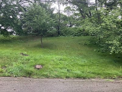 案内板から道路を少し登った所からのチャシ近景