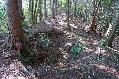 中山城 尾根道の穴