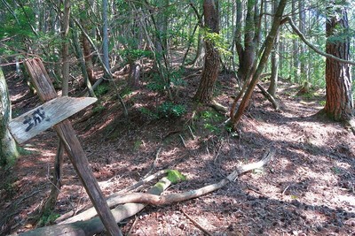 中山城 登城道分岐