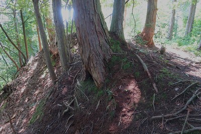 中山城 主郭北の土塁