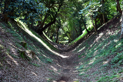 小峯御鐘ノ台大堀切東堀北端