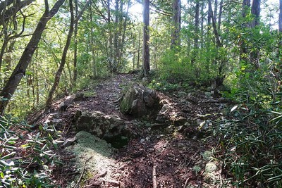 野原城 西尾根の小曲輪