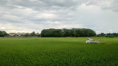 裏手の田園からみた今城