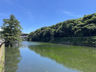 佐和口門前から見た中堀