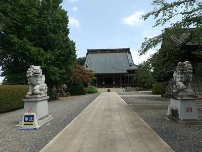 城跡の報国寺さん