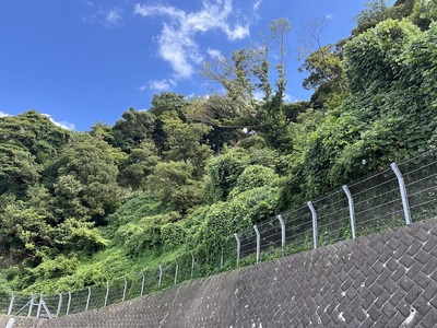 本館前からの城址風景