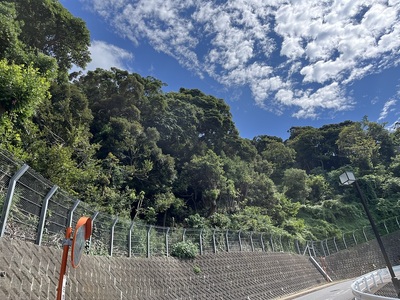 体育館前からの城址風景