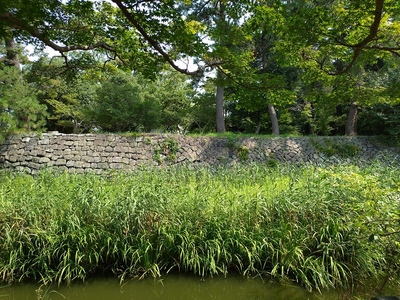 西の丸南側の石垣（左側布積み、右側谷積み）